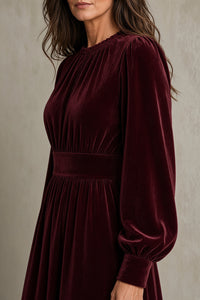 Elena Velvet Dress